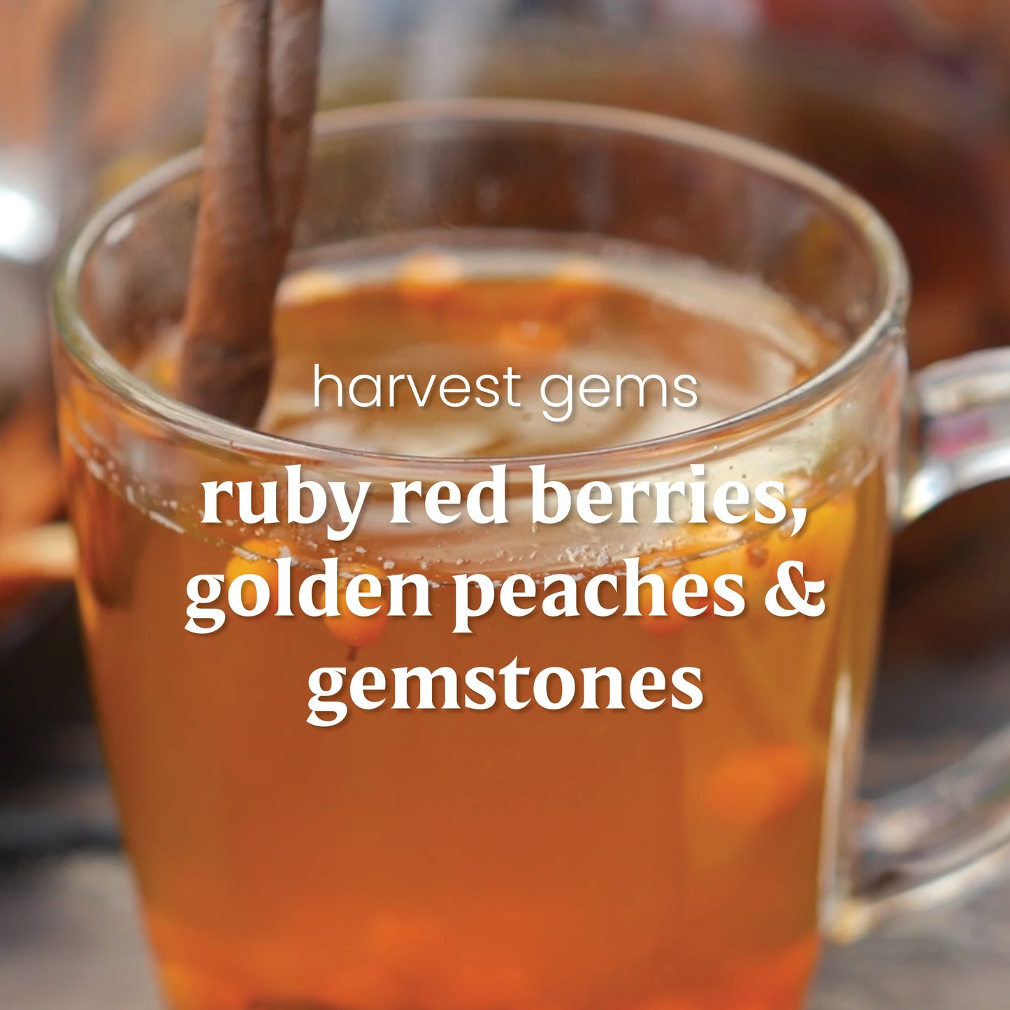 https://yankeecandle.imgix.net/050783c4-f008-36c3-9129-6664ebae4b7f/050783c4-f008-36c3-9129-6664ebae4b7f.jpg