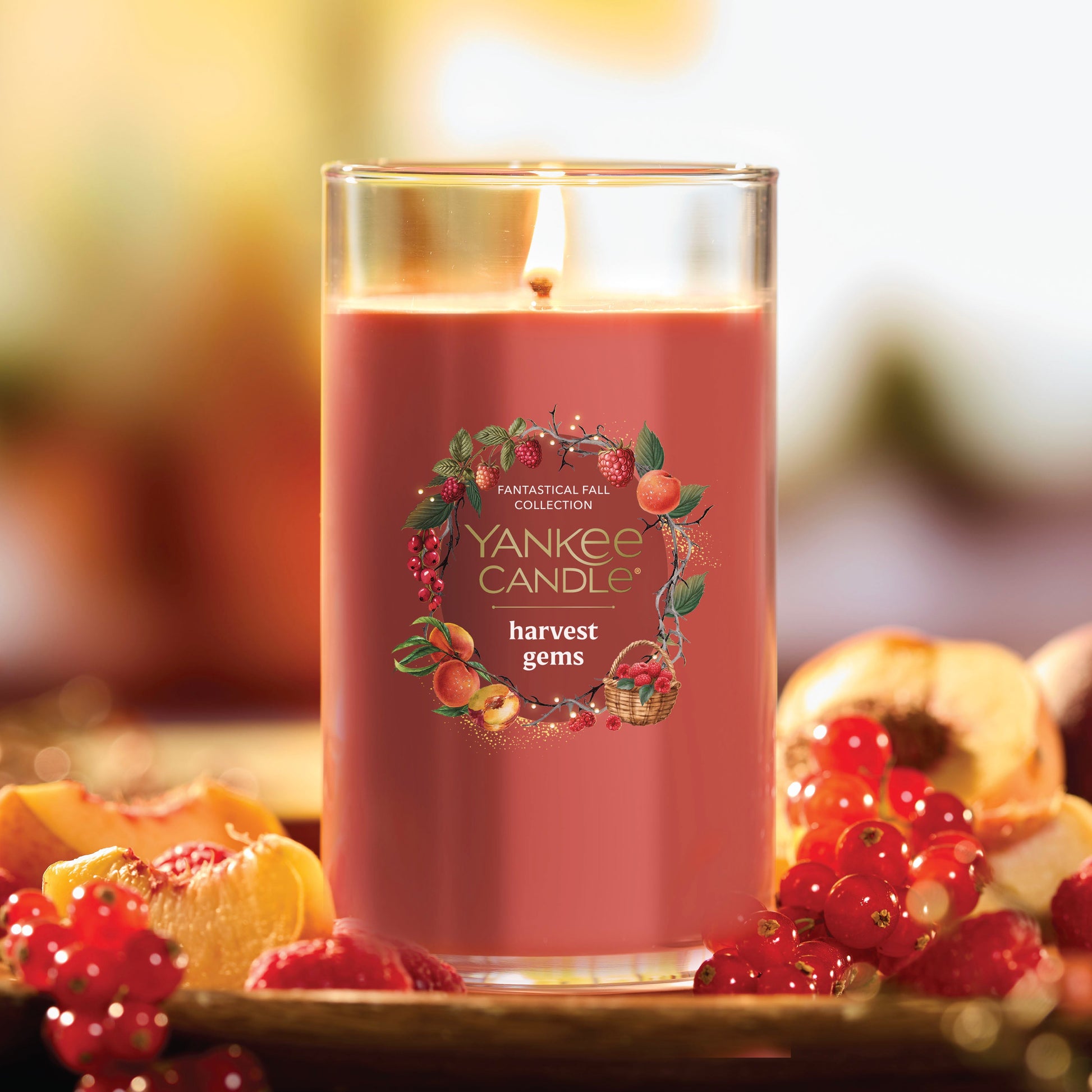 https://yankeecandle.imgix.net/cce45969-680e-316b-b1d6-0654dfbc97e0/cce45969-680e-316b-b1d6-0654dfbc97e0.jpg